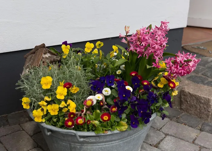 Hartmann Apartment *